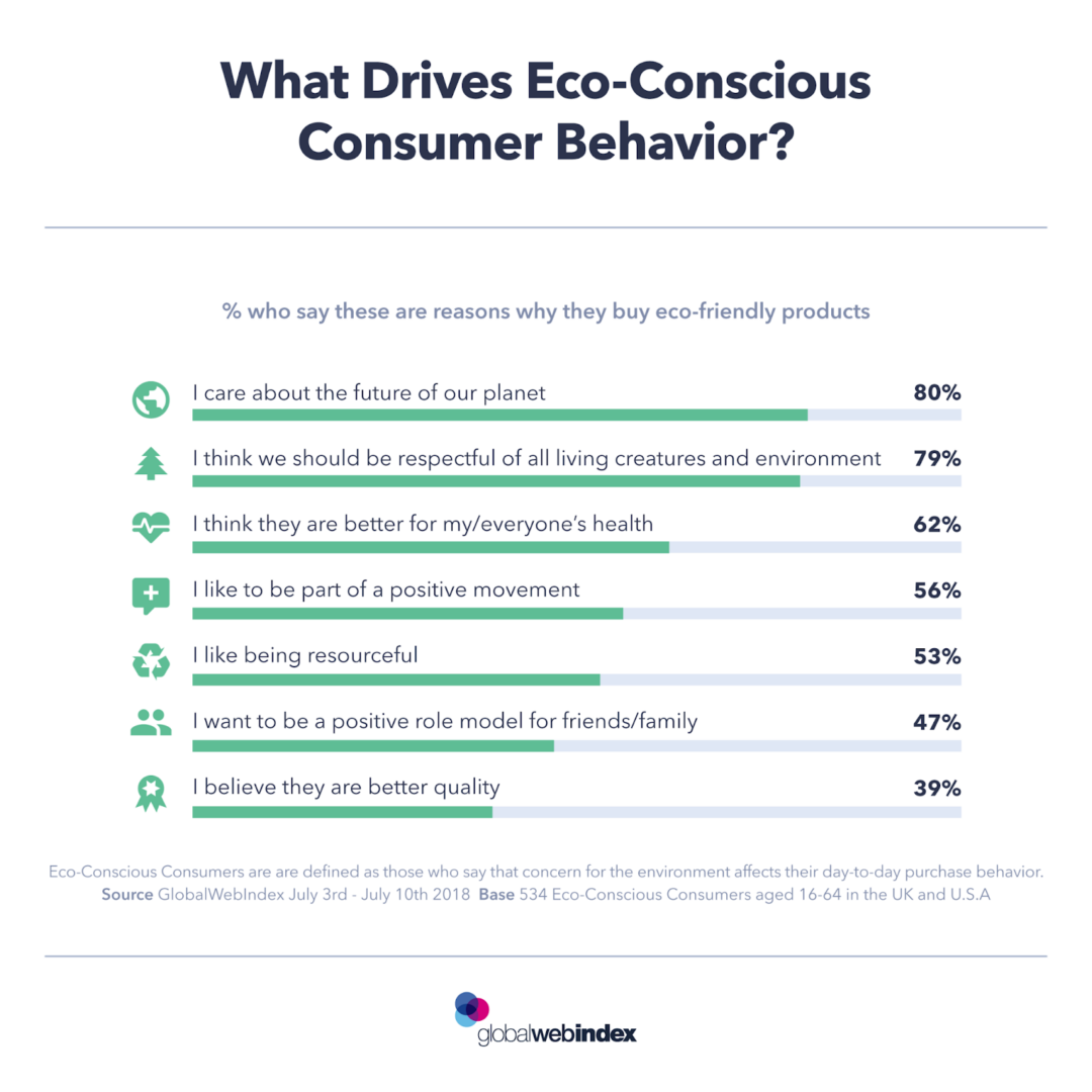 Understanding the Eco-conscious Consumer